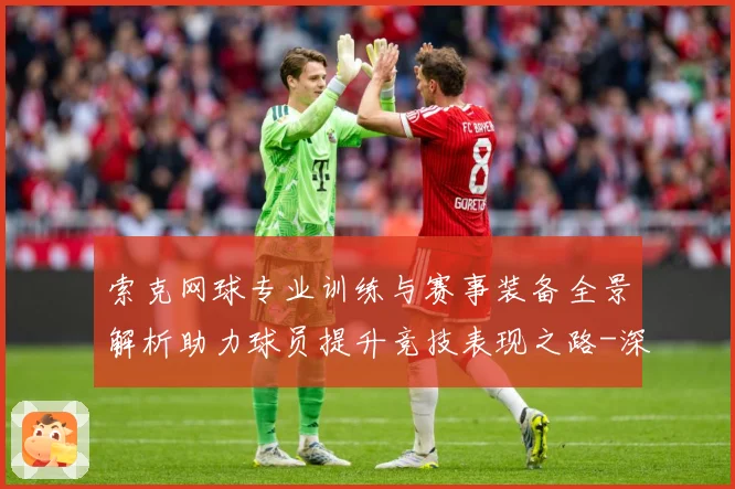 索克网球专业训练与赛事装备全景解析助力球员提升竞技表现之路-深度解析